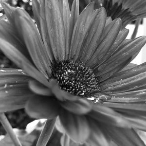 Meet your Posher, Abbygail